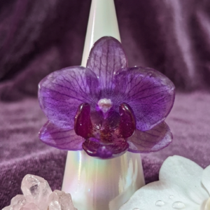 Anillo de Orquídea 163