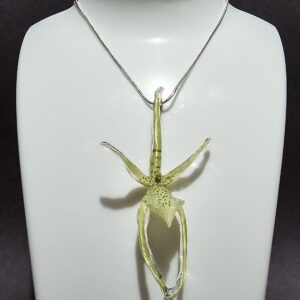 Dije de Orquídea Brassia Verrucosa (Incluye Cadena de Plata 925)