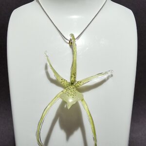 Dije de Orquídea Brassia Verrucosa (Incluye Cadena de Plata 925)