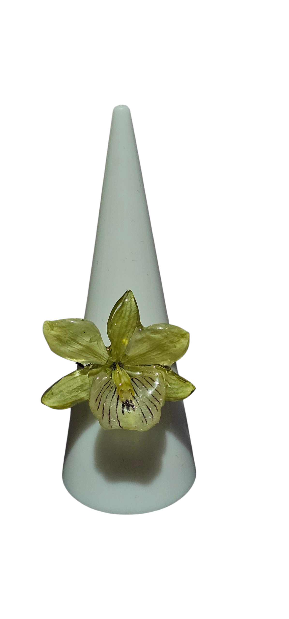 Anillo de Orquídea Prosthechea Radiata