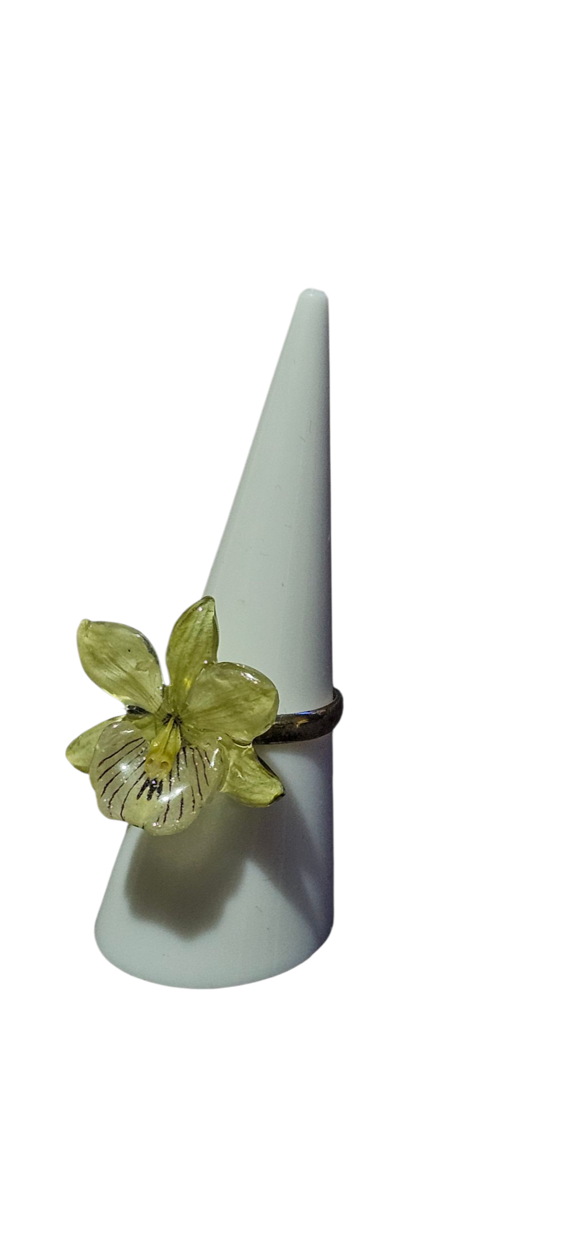 Anillo de Orquídea Prosthechea Radiata - Image 2