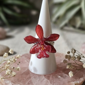 Anillo de Orquídea 181