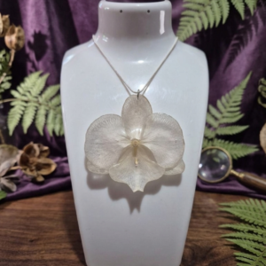 Dije de Orquídea (Incluye Cadena de Plata 925)