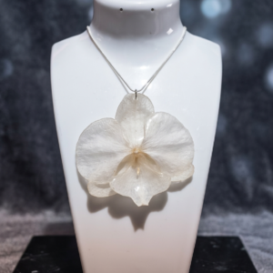 Dije de Orquídea (Incluye Cadena de Plata 925)