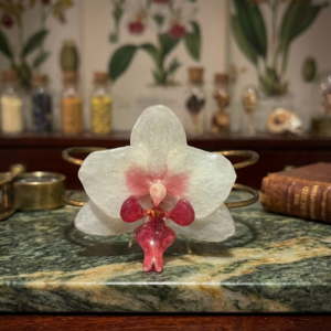 Brazalete de orquídea 165