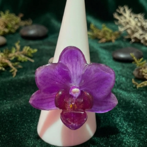 Anillo de Orquídea